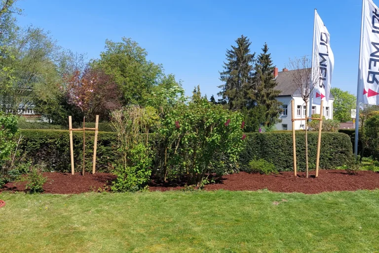 gartenservice-nieberl-leistungen-gartenpflege-01